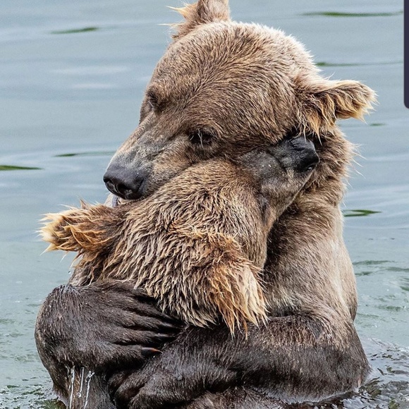 Meet your Posher, Randi - Picture 1 of 1